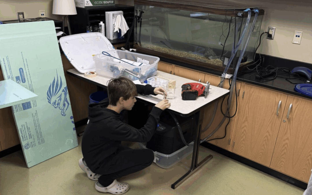 WASD Education Foundation awards $37K in grant funding to district endeavors